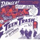 JAYBIRDS - Teen trash Vol. 13
